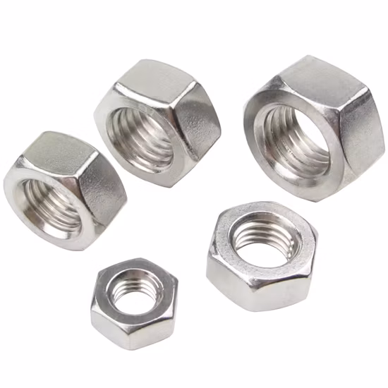Stainless Steel SS304 SS316 Hex Nut (DIN934)