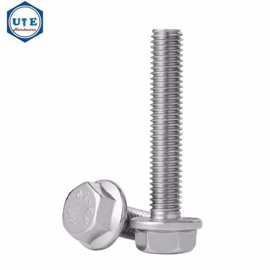Hex Bolt /Flange Bolt/ Carriage Bolt/Anchor/Bolt and Nut