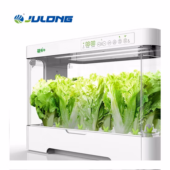 Mini Garden Hydroponic System Home Use Planter for Growing Vegetables Lettuce
