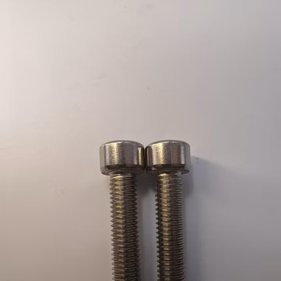 DIN 912 Custom Standard Hex Socket Head Stainless Steel Bolt and Nut