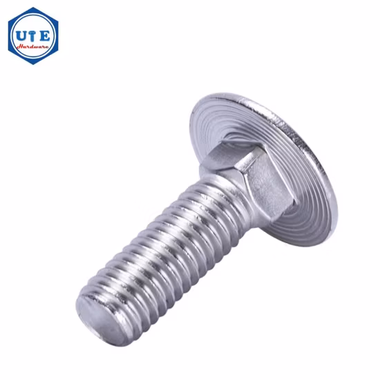 Hex Bolt /Flange Bolt/ Carriage Bolt/Anchor Bolt