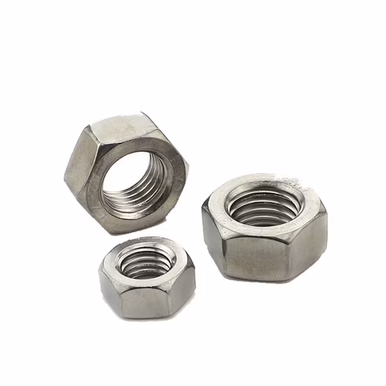 DIN934 Stainless Steel A2 A4 SS304 SS316 Hex Nut M16 M28 M30 M12 M26 M40