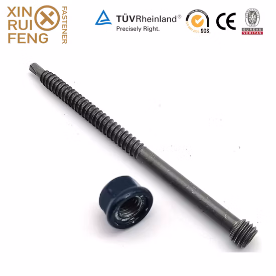 Duplex 2205 Fasteners Torx Pan Head Self Drilling Screw Anti